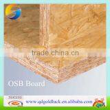 OSB 3 Board for Building Construction thumbnail-1