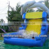 Dolphin Water Slide