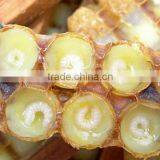 Lyophisized Royal Jelly Powder thumbnail-4