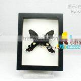 FOUSEN(017) Nature& Art Natural Species Handcraft Ornament thumbnail-1