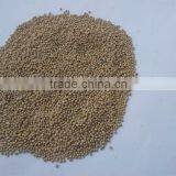 GREEN MILLET IN HUSK FOR BIRD FEEDS thumbnail-5