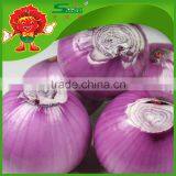 Best Quality Onions in Bulk for Mcdonalds Dehydrated Onions thumbnail-3