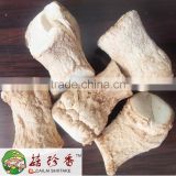 Free shipping premium spawn shiitake leg dried mushroom stem wholesale prices