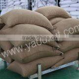 Wholesale Price Apricot Kernels thumbnail-6