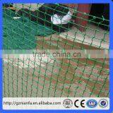 Hdpe Net 25 X25 mm Mesh Hole Agricultural Bird Netting (Guangzhou Factory) thumbnail-2