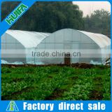 Extruding Plastic Modling Type Single span Agriculture Greenhouse
