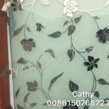 decorative titanium frosted window glass sheet with China best glass factory