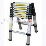 Folding Ladder thumbnail-1