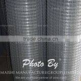 50x50mm Galvanzied Welded Wire Mesh thumbnail-4