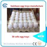 Paper Apple Trays Manufacture Egg Trays thumbnail-2