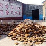 Heavy Duty Type Bench Vice (stationary Without Anvil) 83 Series thumbnail-2