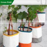 Green Field Colorful Canvas Grow Bag Planter,Unique Colorful Canvas Grow Bag Planter thumbnail-1