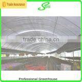 Hot Selling Commercial Used Greenhouse for Sale thumbnail-6
