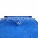 Greenhouse Floor Covering thumbnail-6