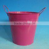 Round Plant Pots With Two Ears Flower Zinc Pot thumbnail-1