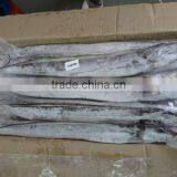 IQF Ribbon Fish thumbnail-4