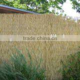 Reed Fence thumbnail-5