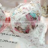 Sexy Hot Girls Lingerie Western Style Underwear Jockey Bra and Panties thumbnail-2