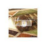 Coconut Watch Toy thumbnail-1