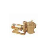 Copper Pump