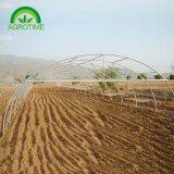 2019 Low Cost Single Tunnel Plastic Film Greenhouse With Hydroponic System for Vegetables thumbnail-3