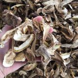 Dried King Bolete Porcini Mushroom