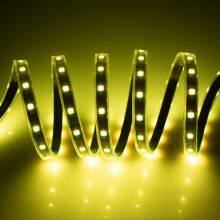 Factory Direct Sale IP65 IP67 IP68 Waterproof Led 5m 10m Strip Light thumbnail-1