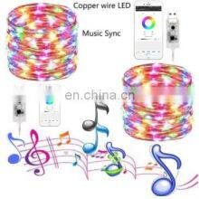 Indoor Holiday Decorations Led Smart Christmas Tree Light String for Phone APP Wireless Control