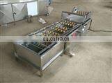 Raisin Washing Machine Dried Grapes Processing Line For Sale thumbnail-3
