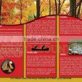 Leaflet Printing With Fold