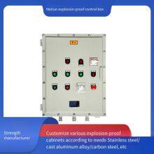 Dust-proof, Moisture-proof and Explosion-proof Box. Special Explosion-proof Control Cabinet for Chemical Industry. Essential Power Distribution Equipment for Gas Station Safety thumbnail-5
