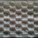 Biodegradable Plastic Thermoforming Fruit Packaging Tray thumbnail-6