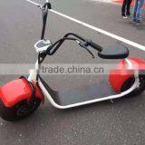 1000 Watt Electric Scooter Halley Scooter Electric Moped Scooter