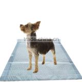 Puppy training pad