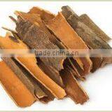 Cinnamon Essential Oil