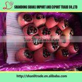 138-150 Pcs Red Fuji Apple,delicious Apple thumbnail-5