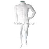 Reasonable Price Plastic Half Body Mannequin/Newly Half Body Mannequin/Muscle Male Torso Mannequin thumbnail-2