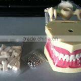 Dental Typodonts Teeth Articulators Model With Jaw Removable Screw thumbnail-5