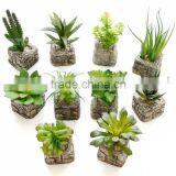 Wholesale Artificial Mini Succulent Flower Plants, Mini Flower Bonsai thumbnail-1