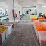 Yiwu Pinfirst Import & Export Firm company overview - view 1 thumbnail