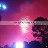 Top Grade Best Sell Birthday Candle Fireworks Shipping thumbnail-5