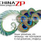 Best Selling Peacock Hair Accessory Bridesmaid Gift Wedding Hair Clip thumbnail-3