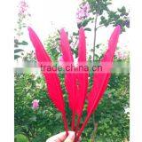 Natural Humpback Feathers 30-40cm 12-16inches thumbnail-3