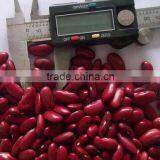 2015 Dark Red Kidney Bean Shanxi Orgin thumbnail-1