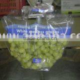 Thompson Seedless Grapes thumbnail-1