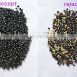 5000+pixel Multifunctional Velvet Bean Processing Machine/vanilla Bean Sorting Machine/jelly Bean Grader thumbnail-4