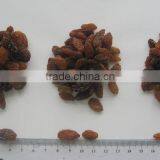 Wholesale Top Quality Seeded Raisin(golden,green,sultana,sun Dried)
