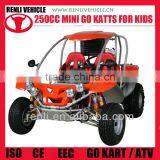 RENLI EEC 250cc Factory Wholesale go Kart thumbnail-1