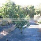 Anti-uv 1.83x50m Black pp Ground Cover thumbnail-1