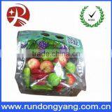 Customized Plastic Stand up Pouch Slider Zip Lock Fruit Packaging Bag thumbnail-5